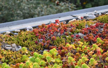 the cost of Feetham green roof installation