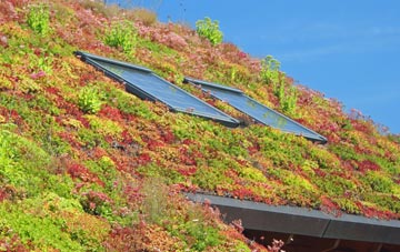 Feetham living roof systems