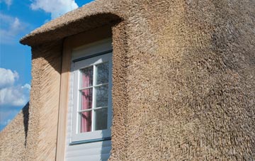 Feetham thatch roof disadvantages